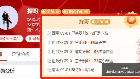 赛事综述：水星队再战神秘人，精彩对决深度解读